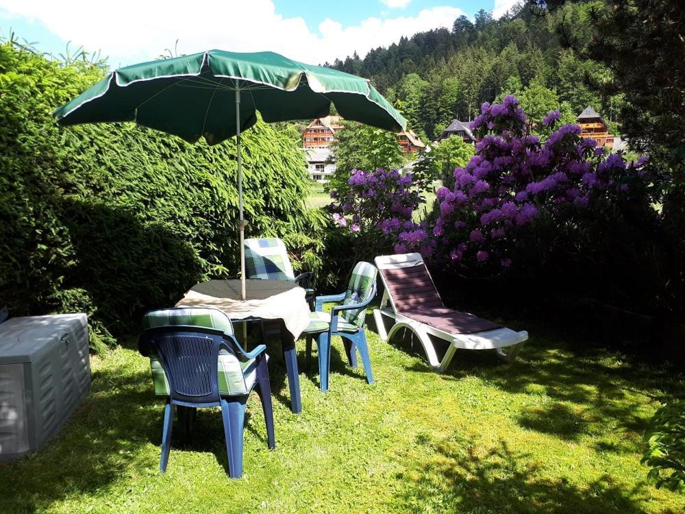 Gaestehaus Lickert Familie Dreher Hinterzarten Exteriér fotografie