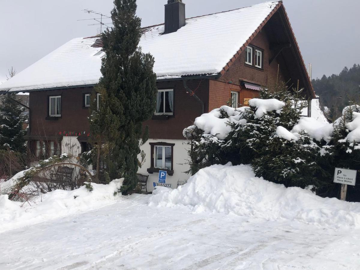 Gaestehaus Lickert Familie Dreher Hinterzarten Exteriér fotografie