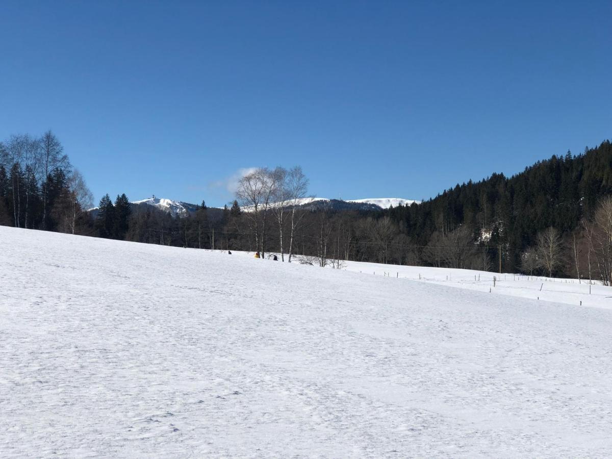 Gaestehaus Lickert Familie Dreher Hinterzarten Exteriér fotografie